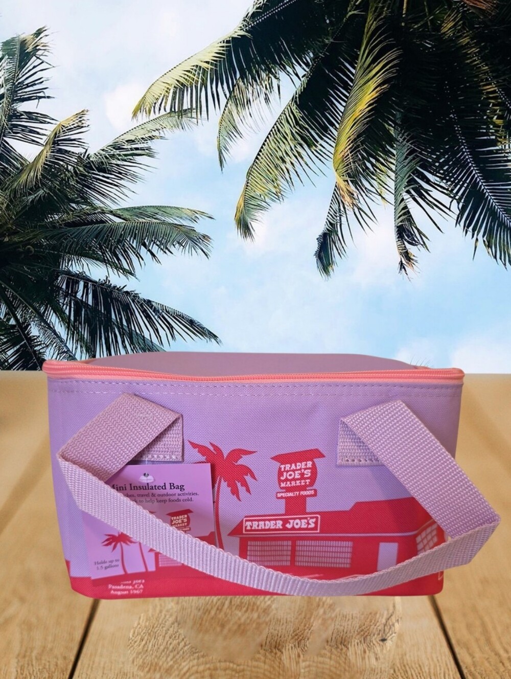 Trader Joe's Mini Insulated Bag-Violet